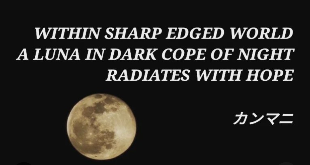 Miracle In Night Sky