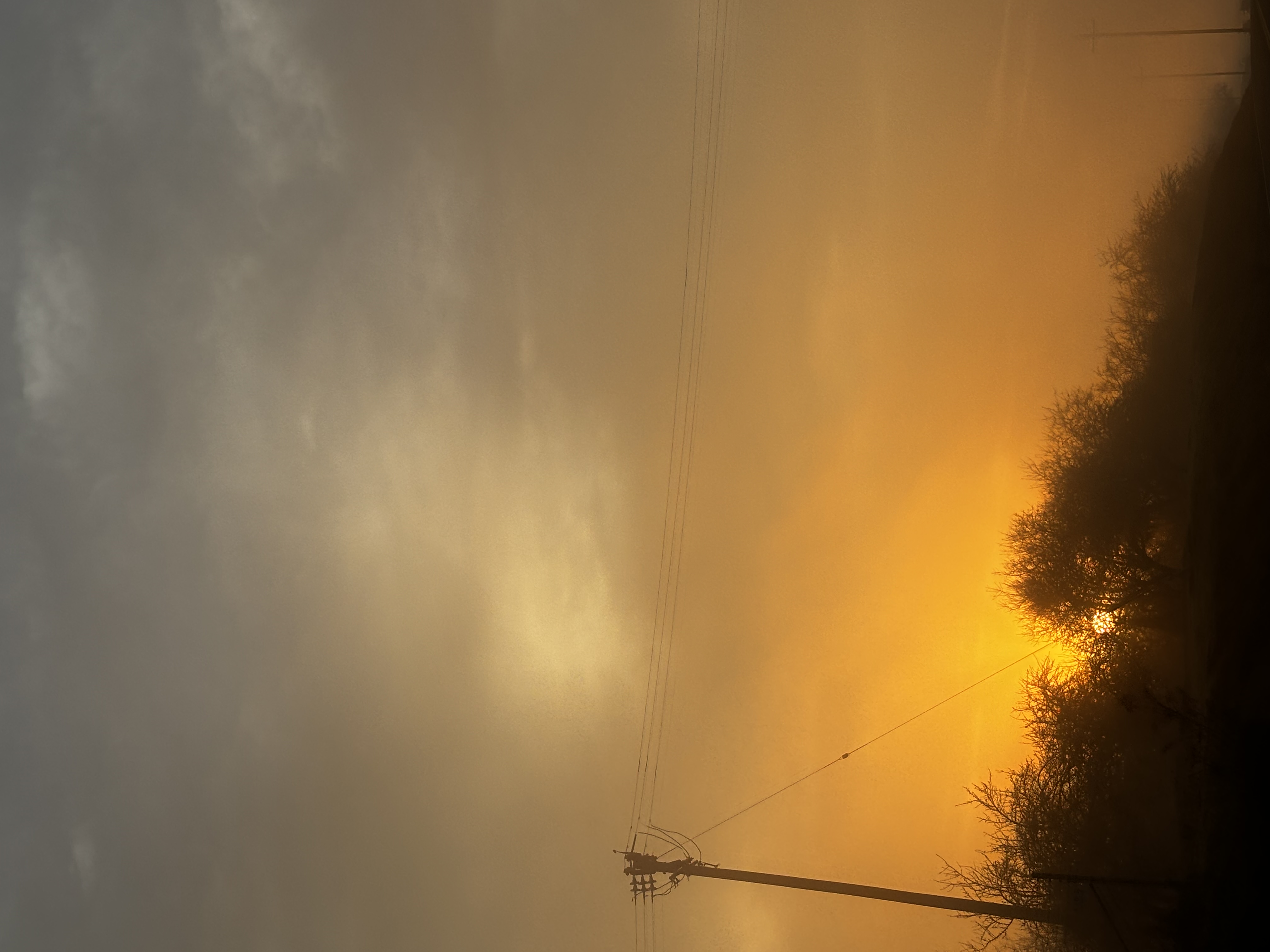 Golden Skies