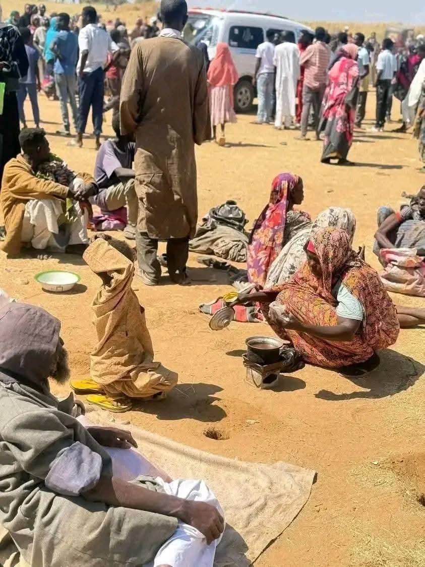 Eighteen Months Of Shadow