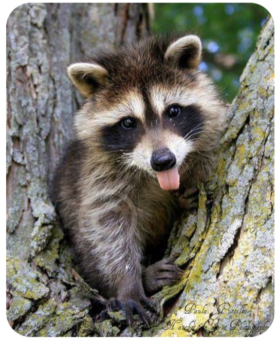 Don't Judge A Book By Its Cover.