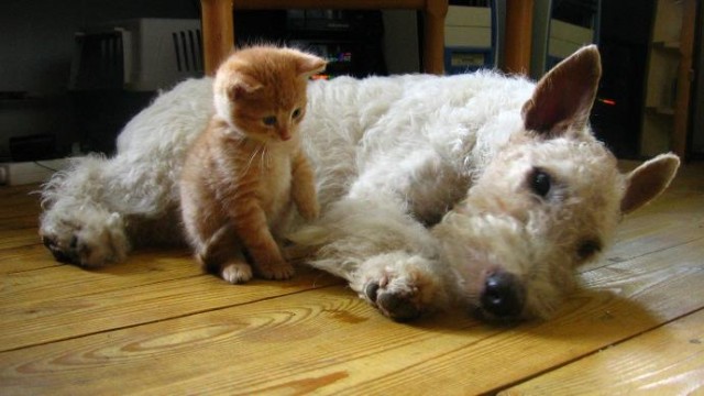 धन्य हो जाते है Dhanya