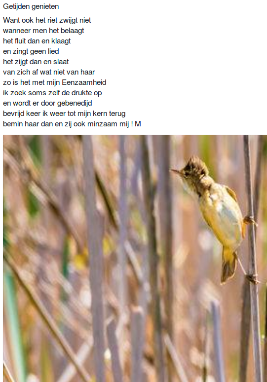 Getijden Genieten