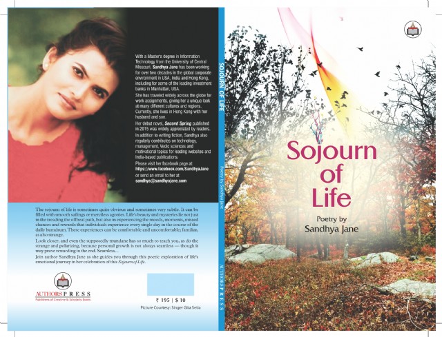 Momentary Moments (From 'sojourn Of Life')