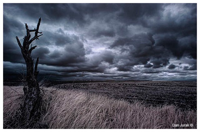 আমি এসেছিলাম