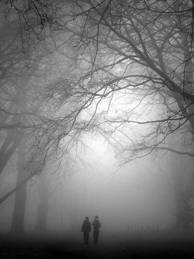 Something I Look At-24