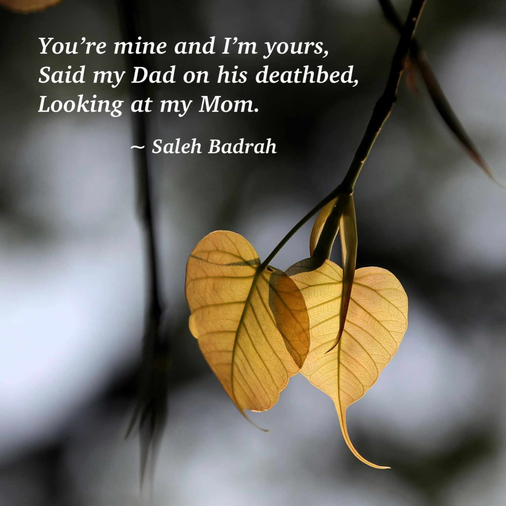 You're Mine And I'm Yours