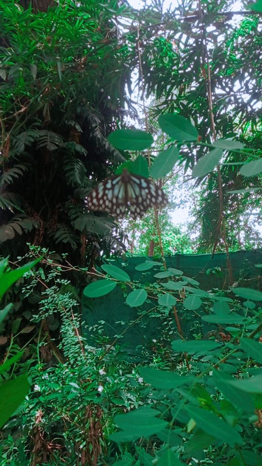 My Soul: Nature