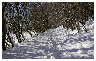 A-234 इन हसीन वादियों में