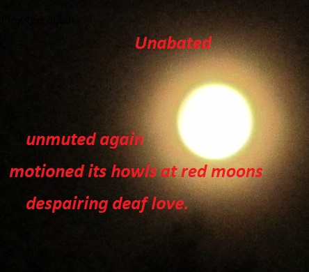 Haiku~ Unabated