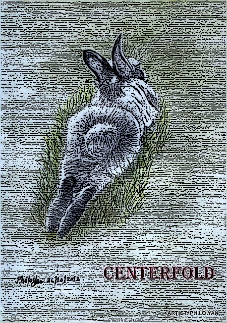Centerfold Bunny
