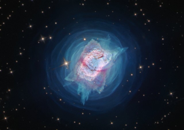 Hubble's Jewel Bug