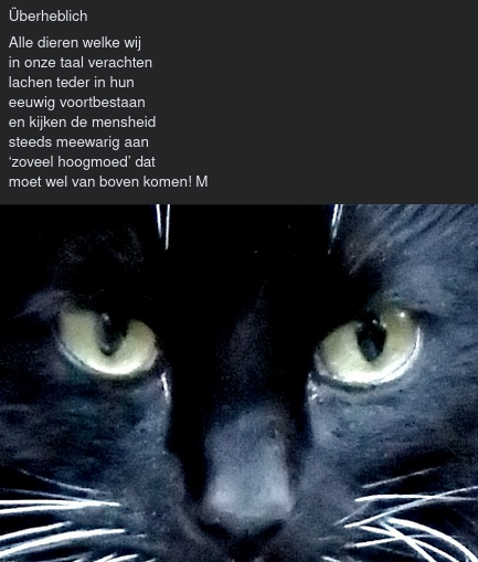 Überheblich