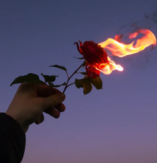 -flowers On Fire-