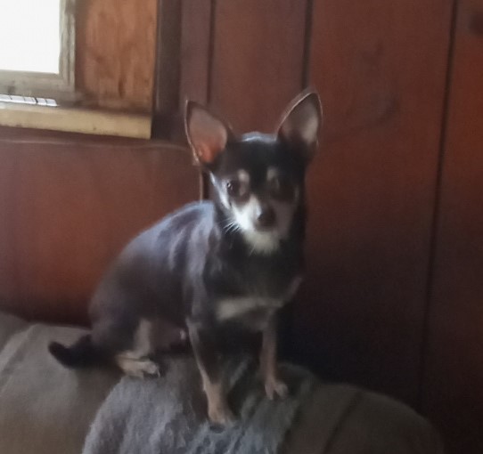 Rest In Peace, Hazel - Part 3