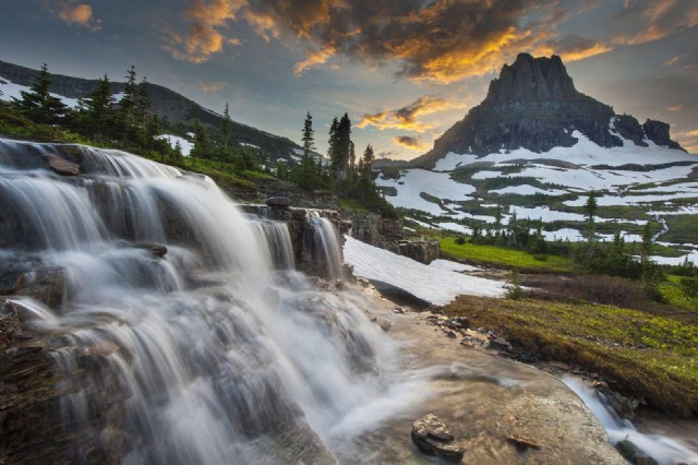 Where Have You Gone?