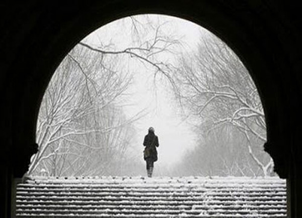 The Snow Globe