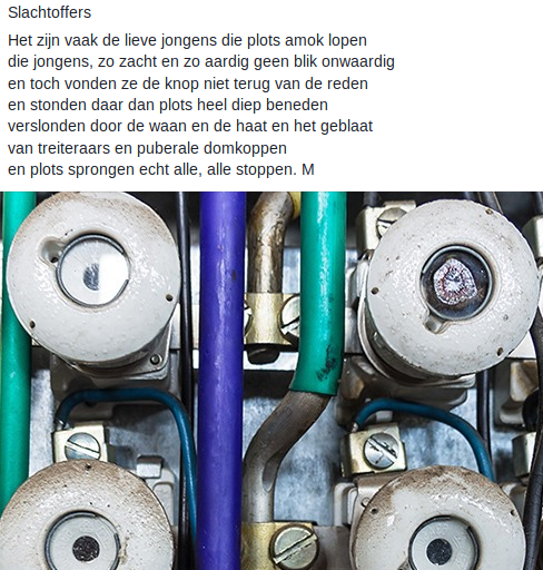 Slachtoffers