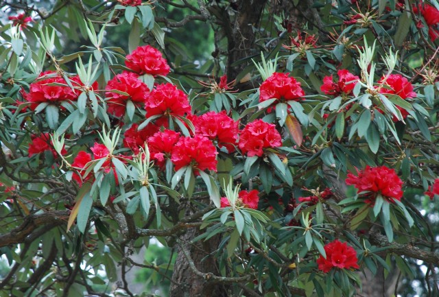 The Noisiest Spring