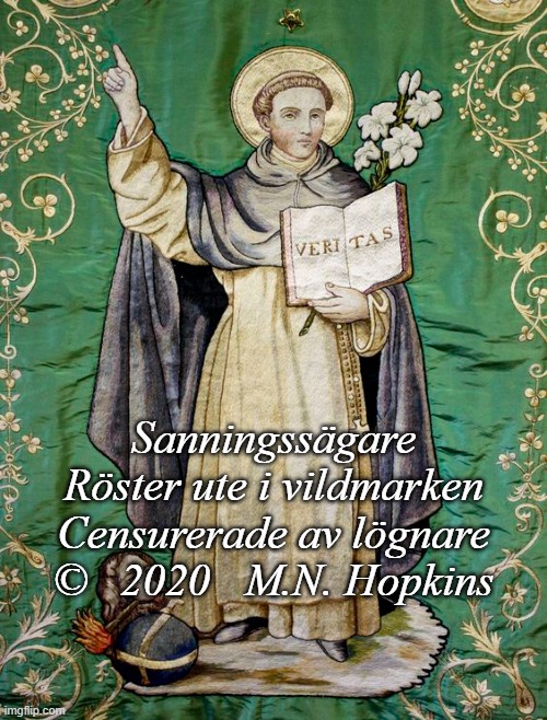 Sanningssägare-En Dikt Av M.N. Hopkins
