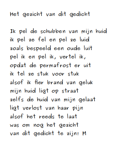 Het Gezicht Van Dit Gedicht