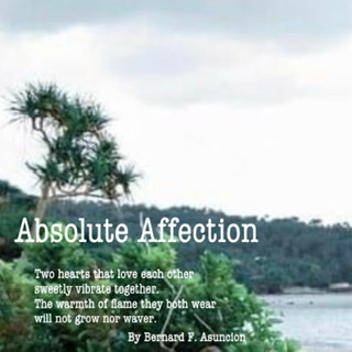 Absolute Affection