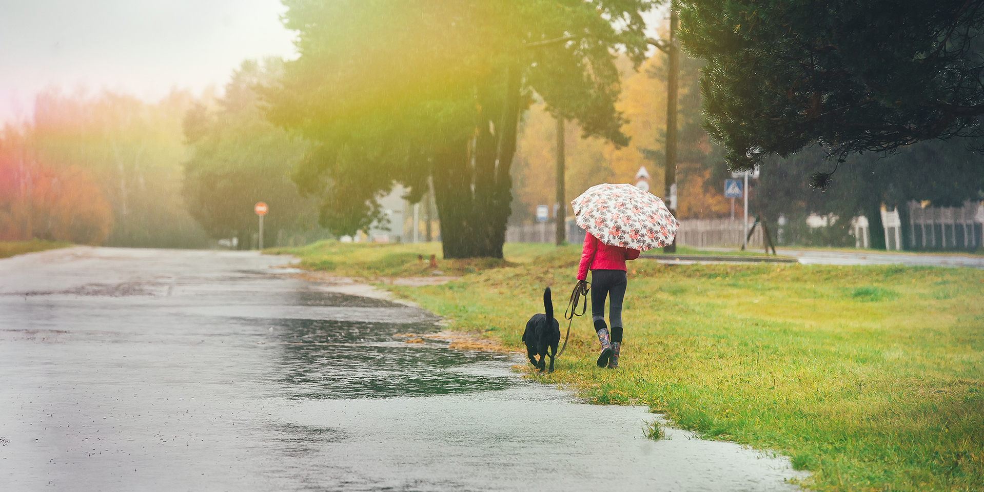 Listen To The Rain