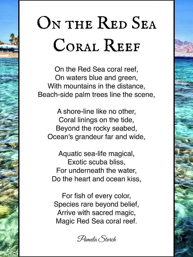 On The Red Sea Coral Reef