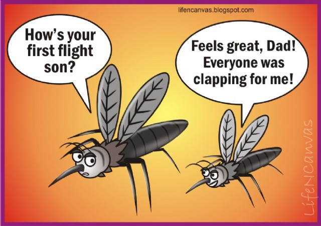 Do Carnivores Attract Mosquitoes