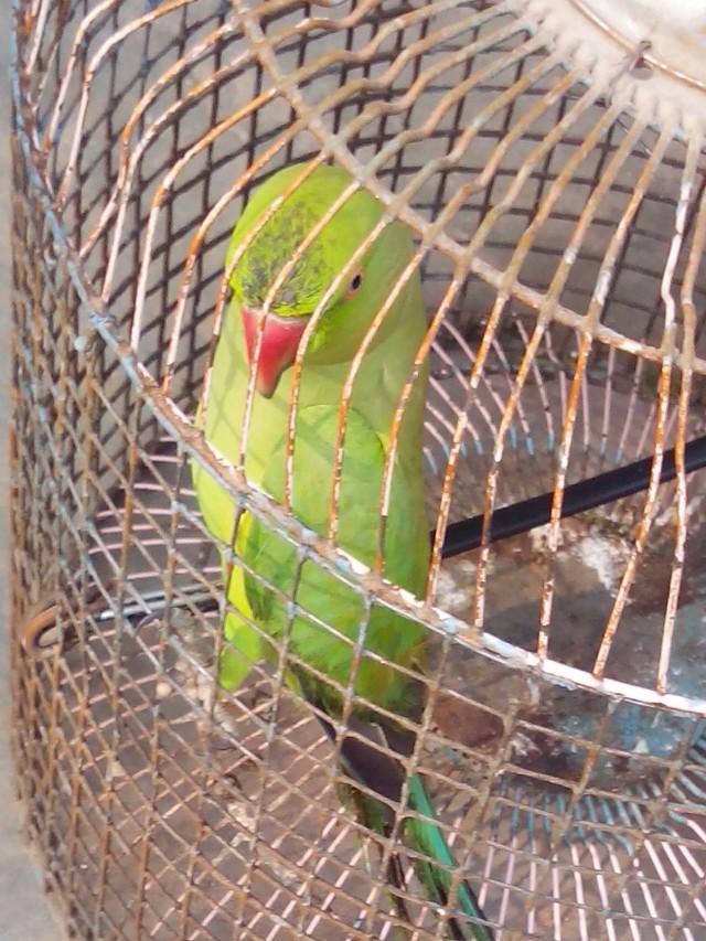 बूझो -