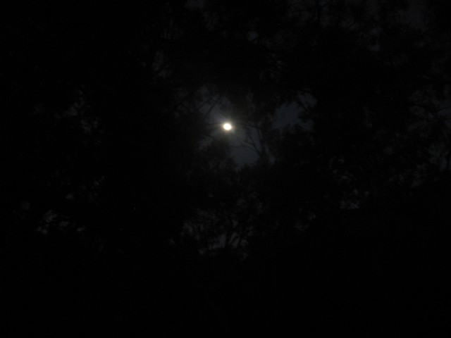 Midnight Under The Moon.