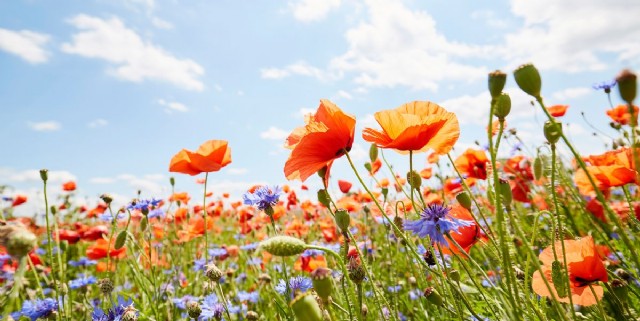 My Beautiful Wife In Life I Love You