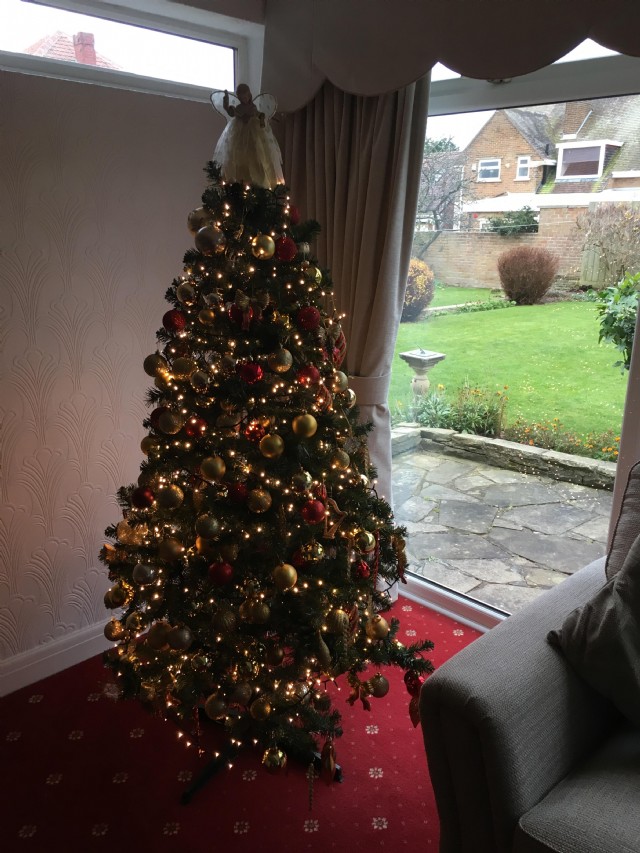 My Christmas Tree: December 2nd,2020