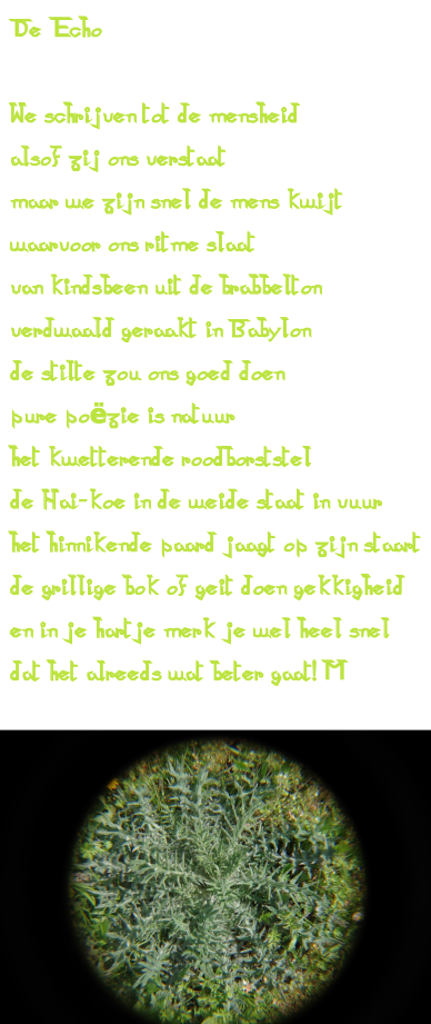 De Echo