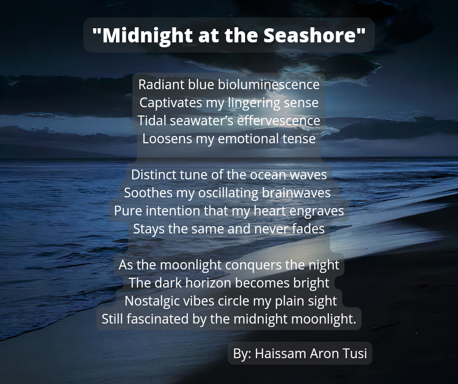 Midnight At The Seashore