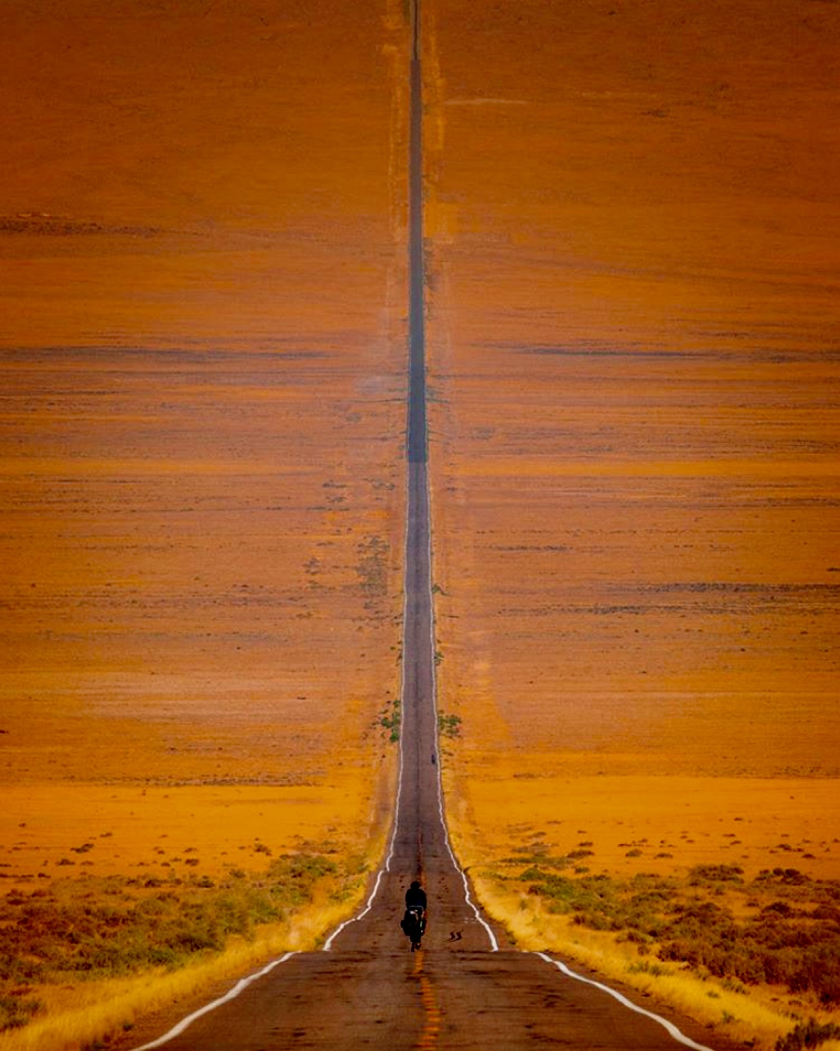 Barren Land