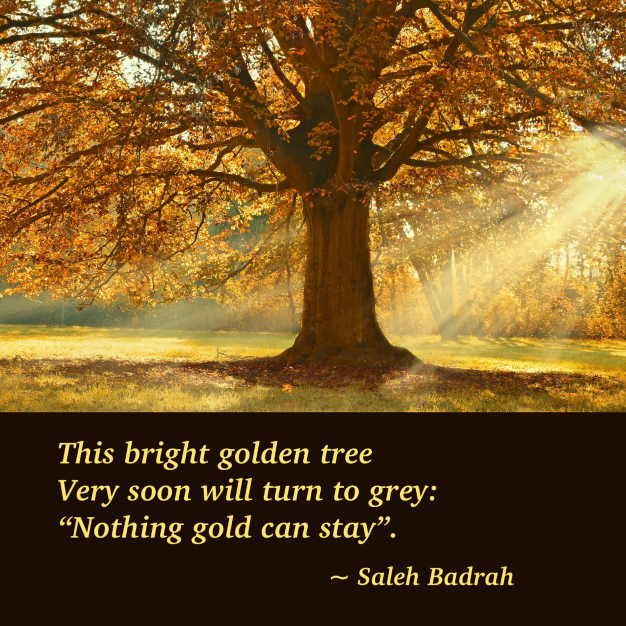 Nothing Gold Can Stay