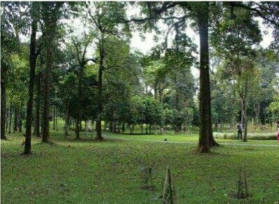 World Environment Day