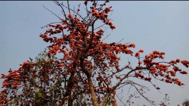 লগ্ন মাধুরী