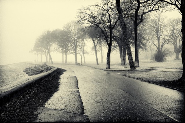 Loneliness