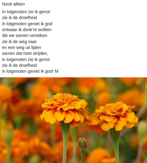 Nooit Alleen