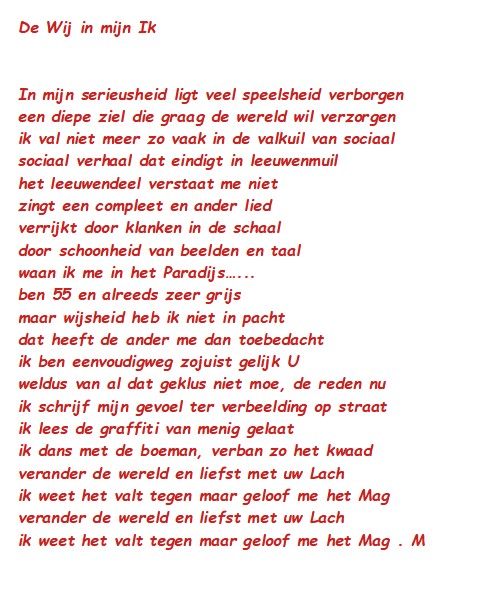 De Wij In Mijn Ik