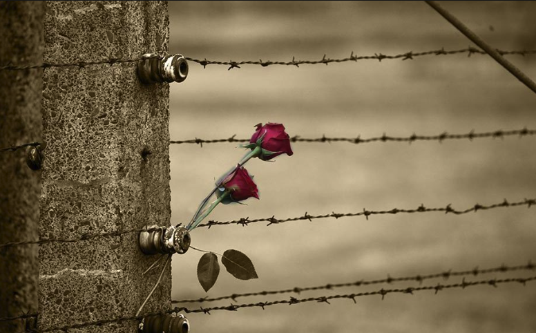 Luce Nella Notte Oscura