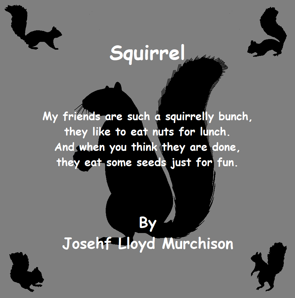 Squirrel