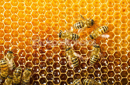 Της Αγάπης Μου Το Μέλι [ Honeycomb Love  By Mihaela Pirjol ]