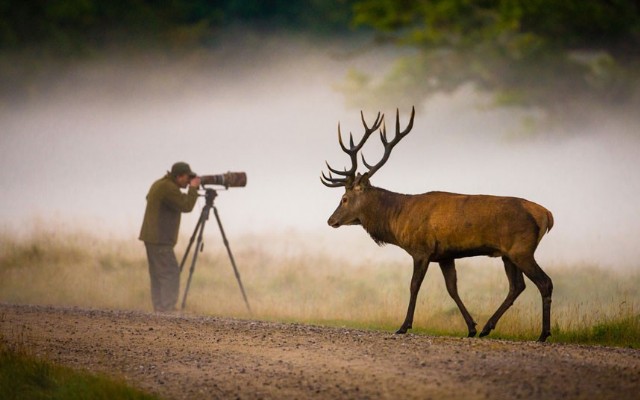 The Man And The Deer