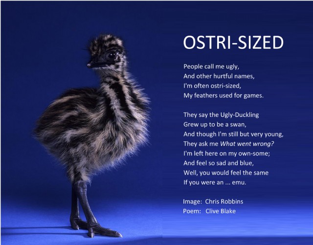Ostri-Sized