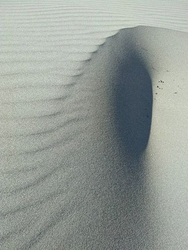 Coming To Terms With Trauma