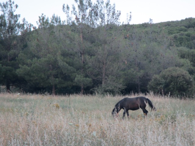 Παράκληση Σε Ποιητές