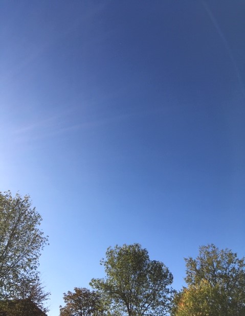 Mijn Gebed Deze Ochtend....