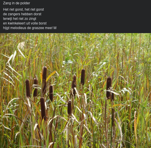 Zang In De Polder